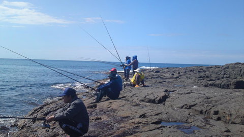 Sweet Spot Shellharbour - New Castle Holiday 13