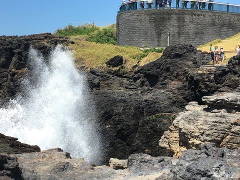 Sweet Spot Shellharbour - New Castle Holiday 18