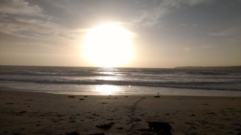 Sweet Spot Shellharbour - New Castle Holiday 16