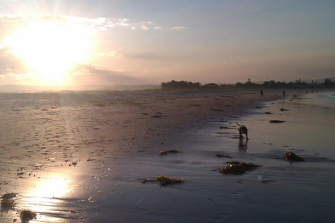 Sweet Spot Shellharbour - New Castle Holiday 12