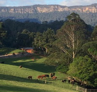 Amaroo Valley Springs - New Castle Holiday