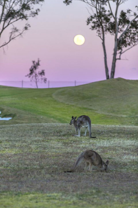 Oaks Cypress Lakes Resort - New Castle Holiday 28