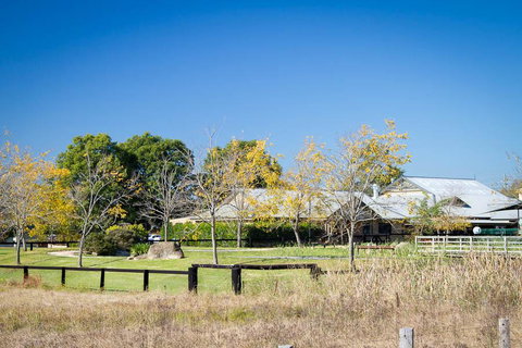 Potters Apartments - New Castle Holiday 26