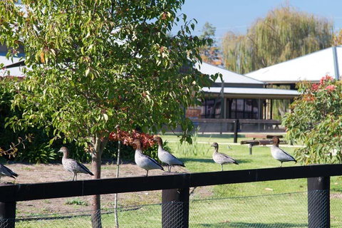 Potters Apartments - New Castle Holiday 25