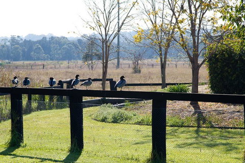 Potters Apartments - New Castle Holiday 24