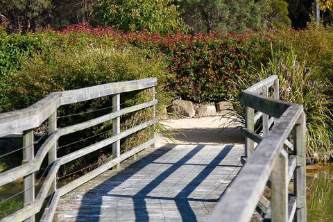 Potters Apartments - New Castle Holiday 10