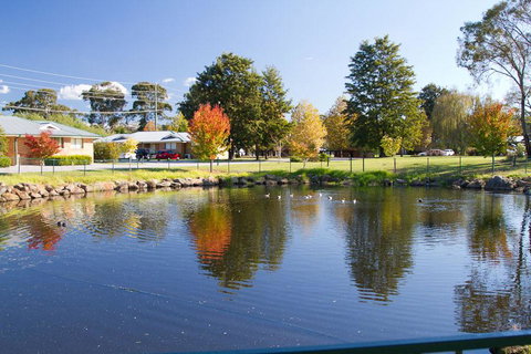 Potters Apartments - New Castle Holiday 39