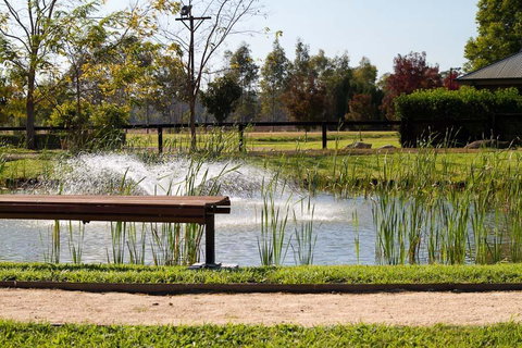 Potters Apartments - New Castle Holiday 23