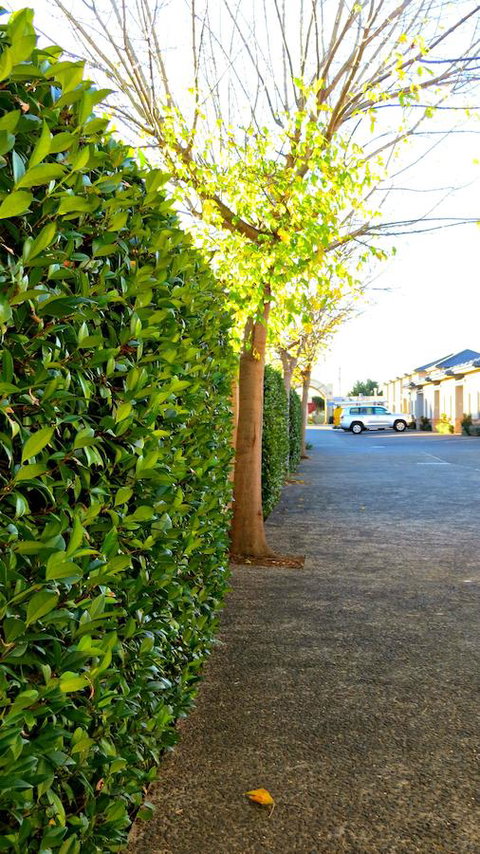 Best Western Plus Goulburn - New Castle Holiday 37