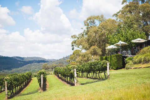Borrodell Vineyard - New Castle Holiday 12