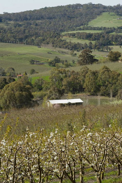 Borrodell Vineyard - New Castle Holiday 30