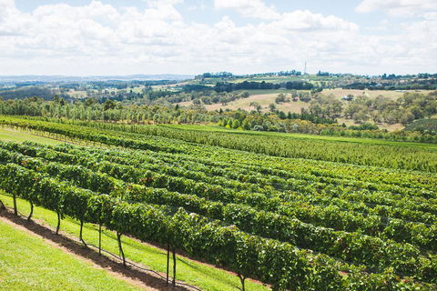 Borrodell Vineyard - New Castle Holiday 29