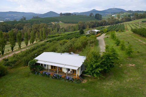 Borrodell Vineyard - New Castle Holiday 2