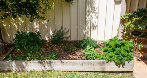 Sunbaker Pet Friendly Awards Finalist 4 Mins Walk To Culburra Beach - New Castle Holiday 31