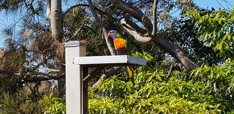 The Edgewater On Greville - New Castle Holiday 15