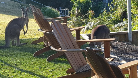 The Edgewater On Greville - New Castle Holiday 18