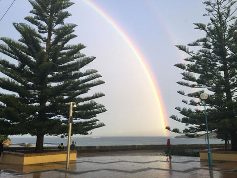 Coogee Sands Hotel & Apartments - New Castle Holiday 31