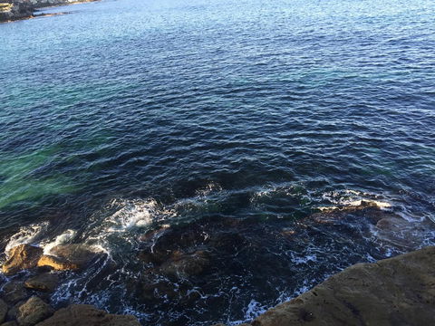 Coogee Sands Hotel & Apartments - New Castle Holiday 30