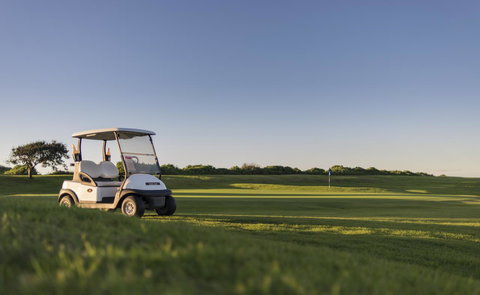 Best Western City Sands - New Castle Holiday 19