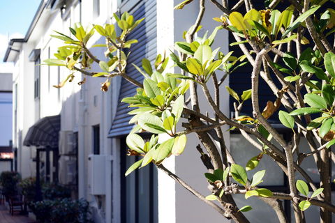 Avoca Randwick By Sydney Lodges - New Castle Holiday 34