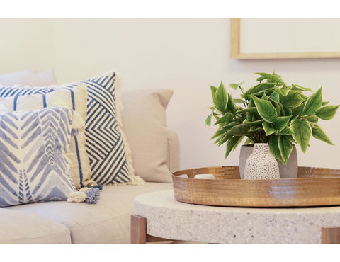 Huge Garden Apartment In The Heart Of Bondi Beach - New Castle Holiday 16