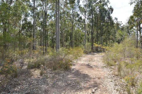 JE Guesthouse, Central To All The Hunter Valley Has To Offer - New Castle Holiday 44