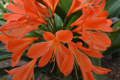 JE Guesthouse, Central To All The Hunter Valley Has To Offer - New Castle Holiday 39