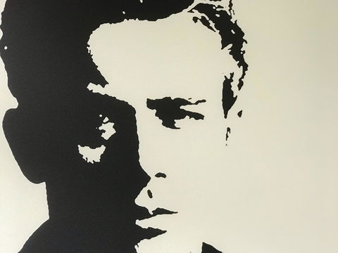 Woollahra Gem, Spectacular Views And Garden Paradise - New Castle Holiday 16