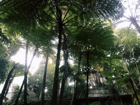 Woollahra Gem, Spectacular Views And Garden Paradise - New Castle Holiday 33