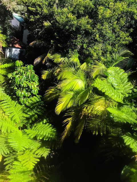 Woollahra Gem, Spectacular Views And Garden Paradise - New Castle Holiday 29