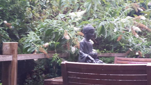 Lark Cottage - New Castle Holiday 19