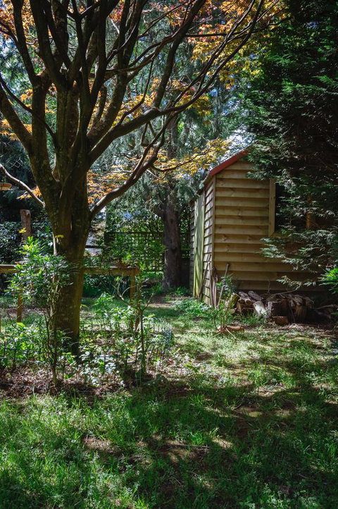 Lark Cottage - New Castle Holiday 31