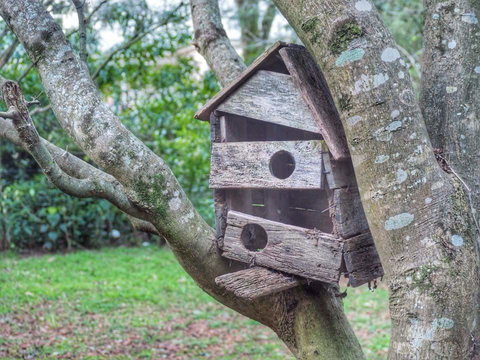 Lark Cottage - New Castle Holiday 3