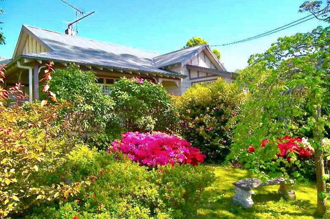 Dangal Gardens - New Castle Holiday 2