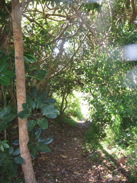 Wollongbar Motel - New Castle Holiday 10