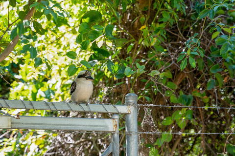 Wollongbar Motel - New Castle Holiday 8