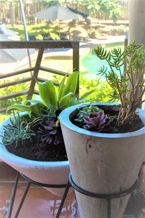 Beach Hotel Resort - New Castle Holiday 14