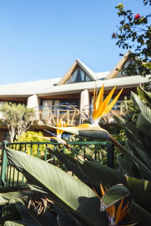 Beach Hotel Resort - New Castle Holiday 36