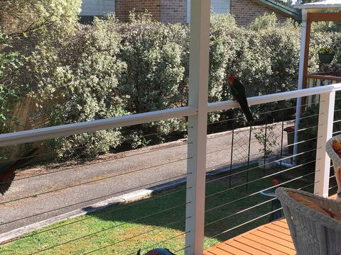 The Best Exotic Magnolia Cottage - New Castle Holiday 15