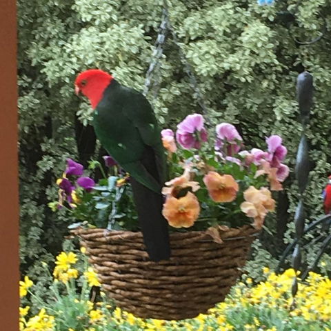 The Best Exotic Magnolia Cottage - New Castle Holiday 32