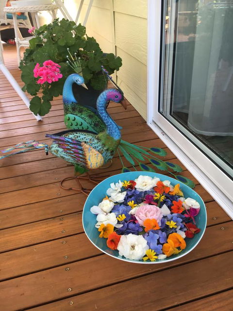 The Best Exotic Magnolia Cottage - New Castle Holiday 8