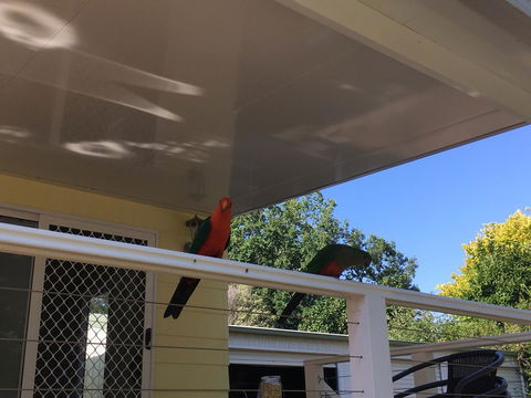 The Best Exotic Magnolia Cottage - New Castle Holiday 11