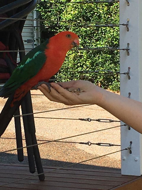 The Best Exotic Magnolia Cottage - New Castle Holiday 13