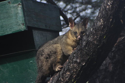 By The Beach B&B Self Contained Apartments - New Castle Holiday 20