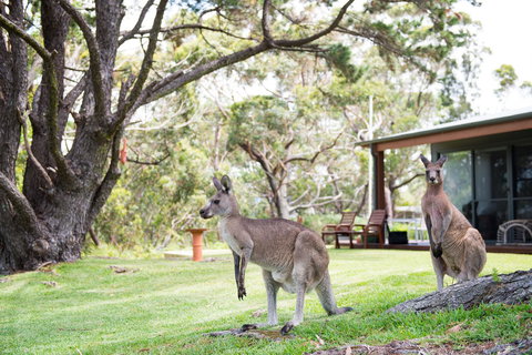 By The Beach B&B Self Contained Apartments - New Castle Holiday 17