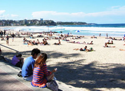 Manly Beachside Apartments - New Castle Holiday 19