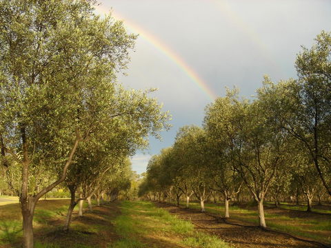 Adina Vineyard - New Castle Holiday 19