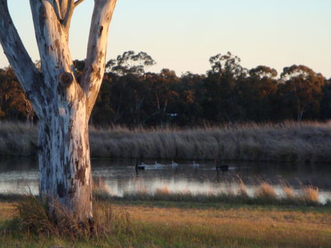 Adina Vineyard - New Castle Holiday 10