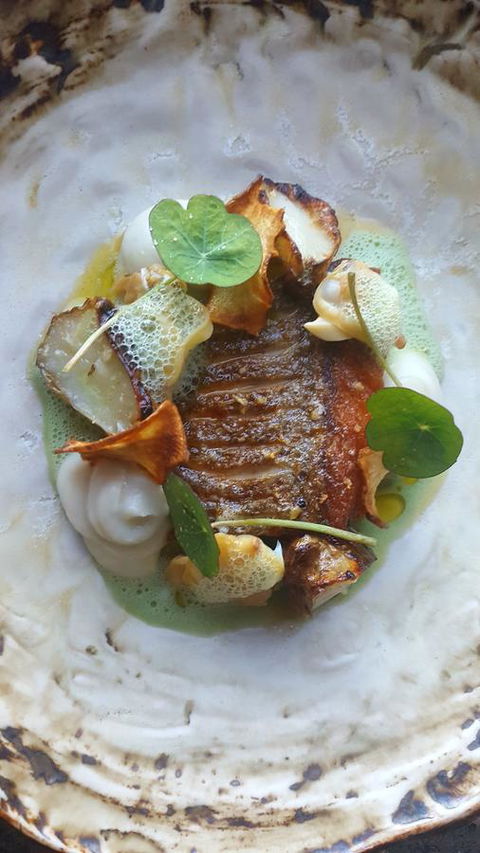 Adina Vineyard - New Castle Holiday 3