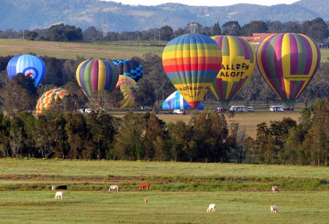 Adina Vineyard - New Castle Holiday 9